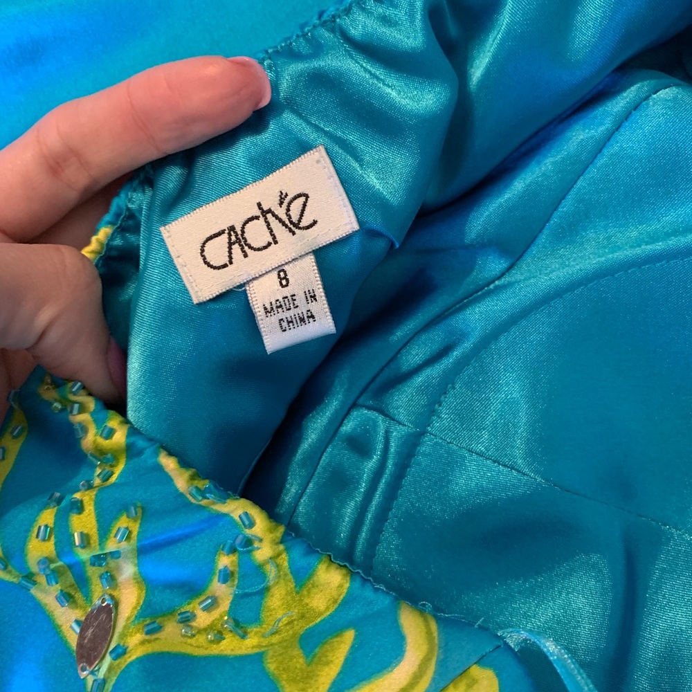 Cache Fun prom Dress - Picture 4 of 4